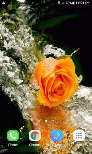 Lovely Yellow Rose LWP screenshot 2