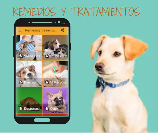 🐶 Free Dog Home Remedies 🐶 screenshot 1