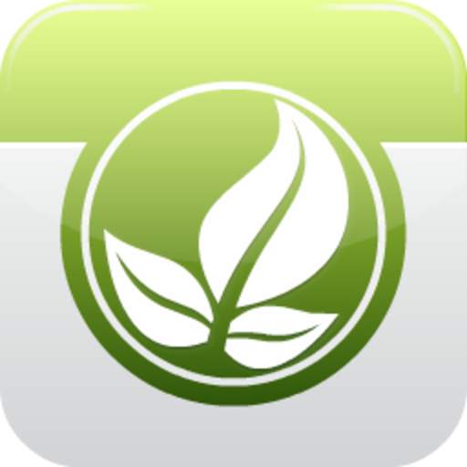 Air Cleaning Plants 1.6
