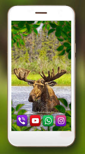 Forest Animals Live Wallpaper screenshot 6