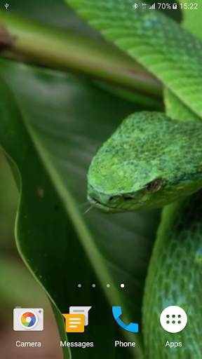 Snake Live Wallpaper screenshot 4