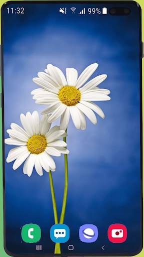 Flowers Wallpaper Best HD screenshot 3