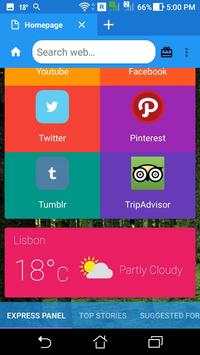 Lite Browser screenshot 4