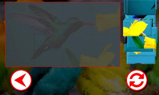 Birds Puzzles screenshot 3