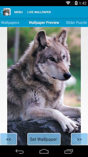 Wolves Live Wallpapers screenshot 3