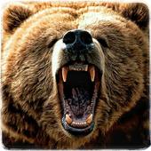Jungle Bear Run 3D icon