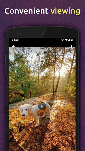 Download HD Videos & Music from TikTok screenshot 4
