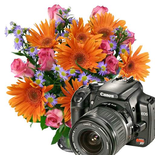 Flowers Camera Full_Version_19