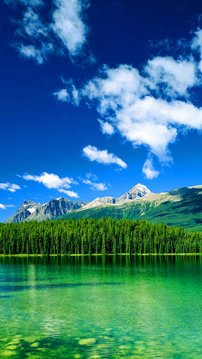 Beautiful wallpaper screenshot 2