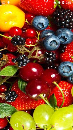Juicy Fruits Live Wallpaper screenshot 2