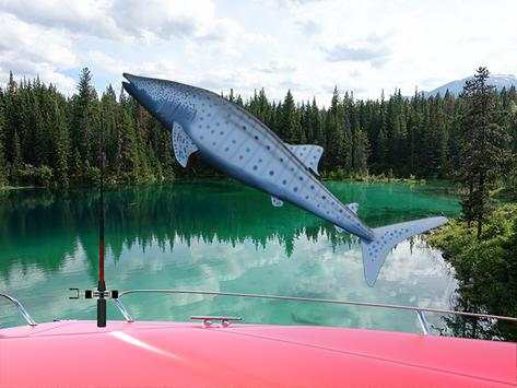 Fishing Shark Ace screenshot 2