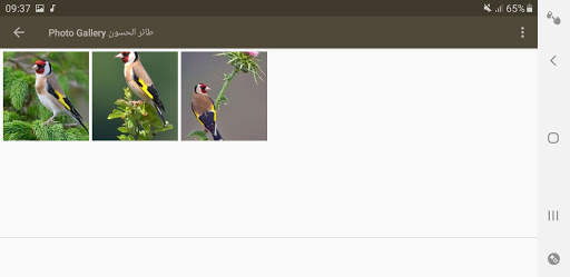 صوت الحسون اسمع واستمتع screenshot 6