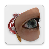 Human Eye icon