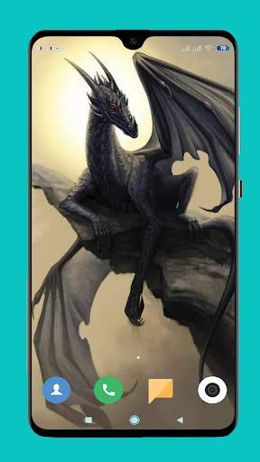 Dragon Wallpaper HD screenshot 13
