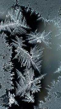 Frost Live Wallpaper screenshot 3