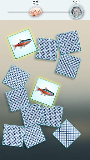 Match Pairs 3D – Matching Game screenshot 3