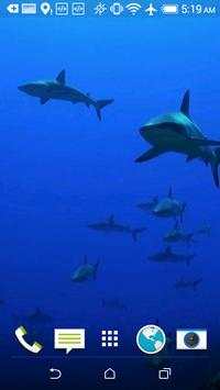 Sharks HD Video Wallpaper screenshot 2