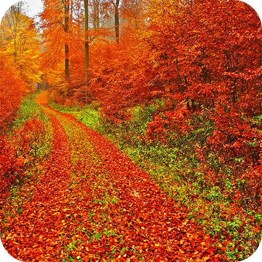 Autumn Wallpaper 1.01