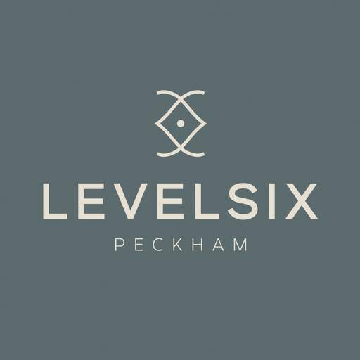 LEVELSIX 4.2.9
