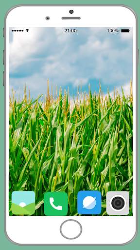 Agriculture Full HD Wallpaper screenshot 9