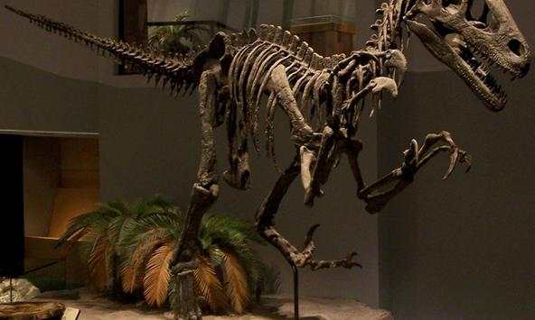 Dinosaur Skeleton Wallpapers screenshot 1