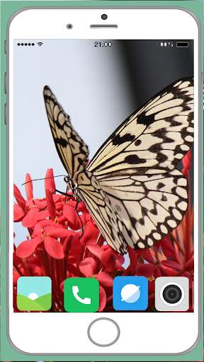 Butterfly Full HD Wallpaper screenshot 15