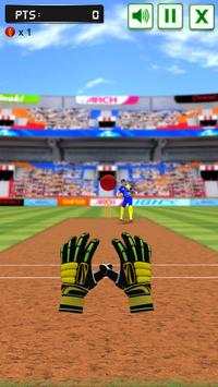 Cricket Fielding Challenge screenshot 2