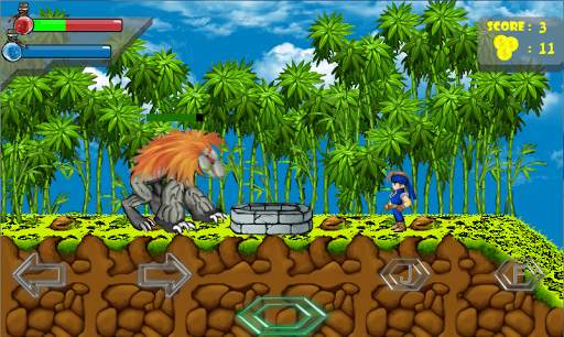 Ninja Warrior : Dragon Kingdom screenshot 4