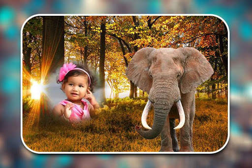 Wild Animal Photo Frames 4 تصوير الشاشة