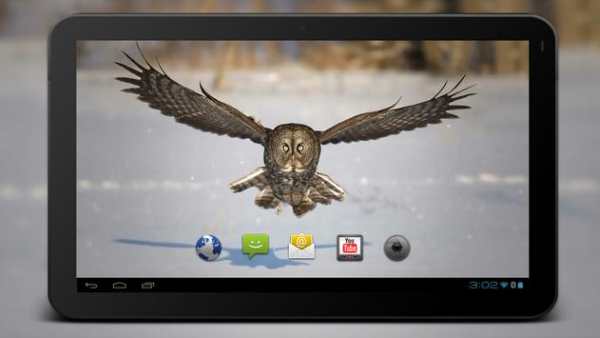 4K Slow-mo Animals Video Live Wallpaper screenshot 6