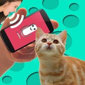 Cat Translator icon