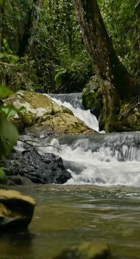 Waterfall Live Wallpaper screenshot 5