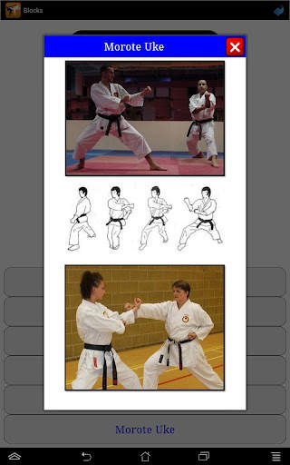 Karate in brief screenshot 20