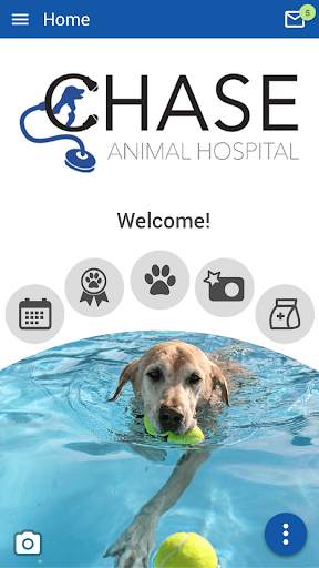 Chase Animal Hospital screenshot 1