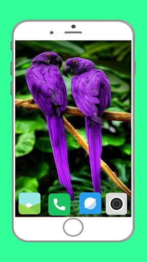 Birds Full HD Wallpaper स्क्रीनशॉट 9