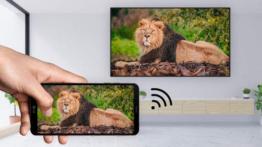 Screen Mirroring with TV  Play Video on TV screenshot 5