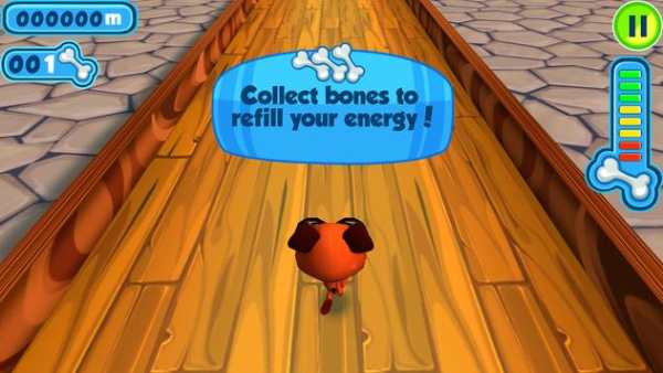 Dog Racing Game screenshot 2