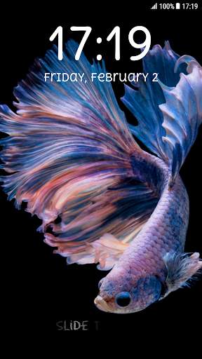 Betta Fish Pattern Lock Screen screenshot 4