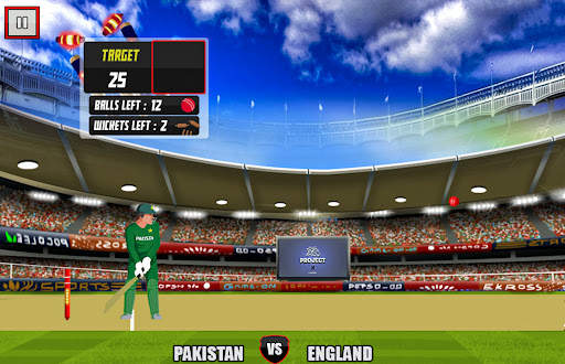 World Cup cricket championship screenshot 5