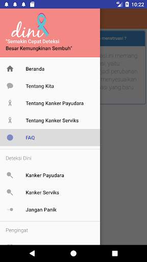 DINI screenshot 2