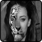 InstaFace Changer (Morphing) icon
