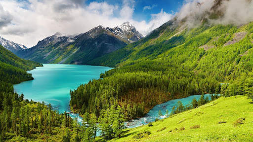 Nature Live Wallpaper : 7fon & LWP screenshot 9