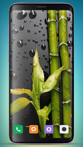 Bamboo Wallpaper HD screenshot 14