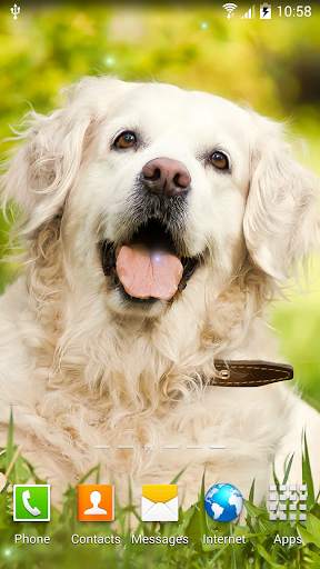 Dogs Wallpaper screenshot 4