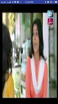 Pakistani Zemtv screenshot 7