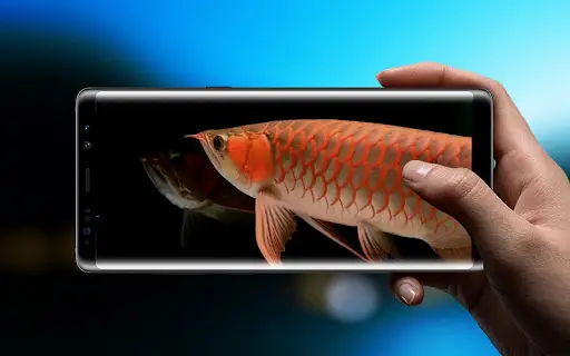 New Arowana 3D Live Wallpaper screenshot 3