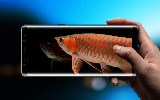 New Arowana 3D Live Wallpaper screenshot 3
