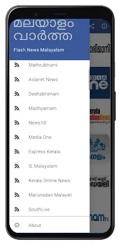 Flash News Malayalam screenshot 1