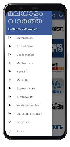 Flash News Malayalam screenshot 1