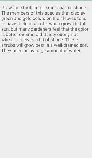 Euonymus Emerald Gaiety 4 تصوير الشاشة